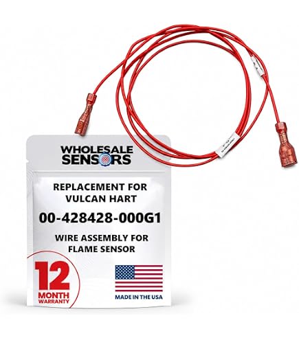 Vulcan Hart 00-424194-00001 Ignitor/Flame Sensor Assembly